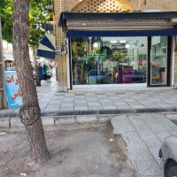 همکار خانم جهت وردستی