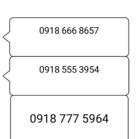 0918-555-3954