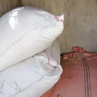 کاه|گل و گیاه طبیعی|زابل, |دیوار