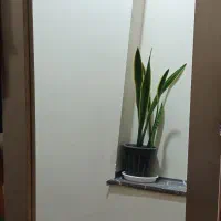 آینه|آینه|مشهد, شهرک بهارستان|دیوار