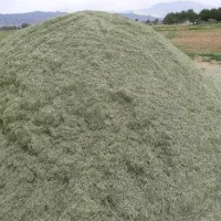 یونجه فله ای خشک