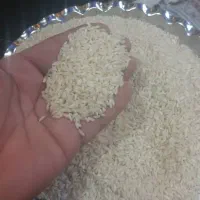 خرید عمده برنج عنبر بو شوشتر مستقیم از کشاورز|خوردنی و آشامیدنی|شهرکرد, |دیوار