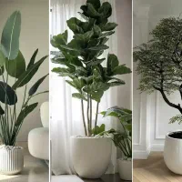 نمایندگی رسمی قرص کود گیاهی/رشدسریع گل وگیاه|گل و گیاه طبیعی|بجنورد, |دیوار