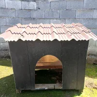 لانه سگ تمیز