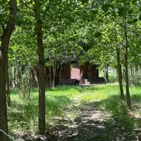 فروش ویلا در محیطی طبیعت محور و زیبا