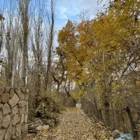 طبیعت گردی