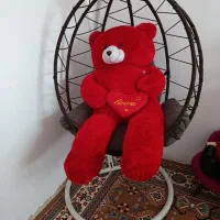 تاب بزرگسالان