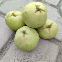 میوه به