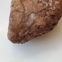 مشکوک به شهاب سنگ