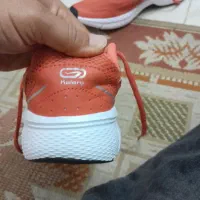 کتونی زنانه اورجینال|کیف، کفش، کمربند|گنبد کاووس, |دیوار