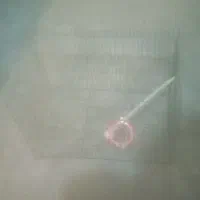 قفس پرنده