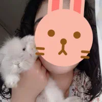 خرگوش لوپ وندراج شاه