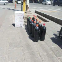 شیری انهور