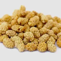 توت خشک سفید