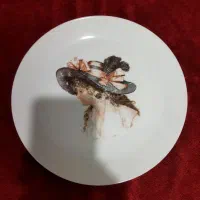 بشقابهای قدیمی