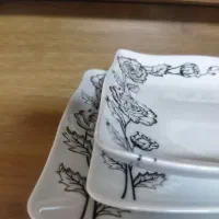 وسایل سرو و پذیرایی|ظروف سرو و پذیرایی|ماکو, |دیوار