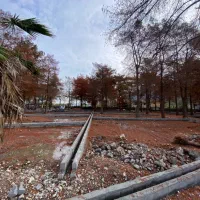 فروش-زمین-شهرک-پاییزی-بافت-سند-280-متری