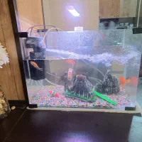 آکواریوم شیشه خم با کلیه وسایل و ...