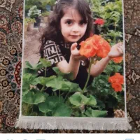 عکس خود و عزیزانتان را به تابلو فرش تبدیل کنید|تابلو فرش|خرم‌آباد, |دیوار