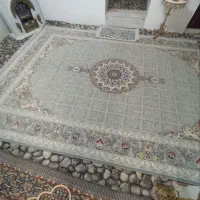 فرش ۹ متری|فرش|قم, کلهری|دیوار