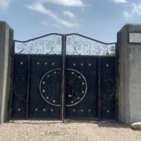 باغ پسته ۳۰ ساله