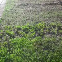 زمین-مسکونی