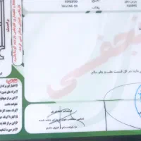 پژو پارس tu5 سیمی