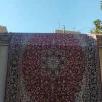 فرش ۱۲ متری و ۶متری|فرش|مرند, |دیوار