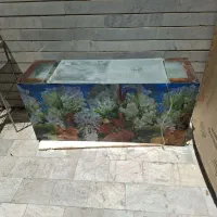 آکواریوم