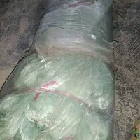 تور اسبکی نو