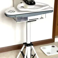 اتو پرس|اتو و لوازم اتو|پرند, فاز ۴|دیوار