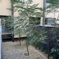 اپارتمان صفر  ارغوانیه ۱۳۵|فروش آپارتمان|اصفهان, ارغوانیه|دیوار