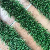 کاتر شده چمن در ابعاد مختلف