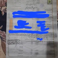 پژوپارس|خودرو سواری و وانت|یزد, |دیوار