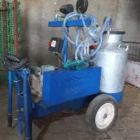 شیر دوش گوسفندی تسمه ایی