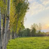 تور طبیعت گردی با موتور