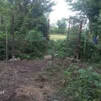 زمین|فروش زمین و ملک کلنگی|ضیابر, |دیوار