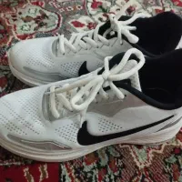 کفش سالم تمیز