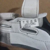 کفش پوما|کیف، کفش، کمربند|شیراز, ابیوردی|دیوار