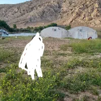 گلخانه  باغ  چاه کشاورزی|فروش دفتر صنعتی، کشاورزی، تجاری|خرم‌آباد, |دیوار