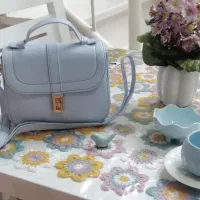 کیف مجلسی مارک، فانتزی