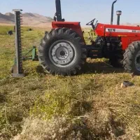 درو کردن کنجد|عمده‌فروشی|سرپل ذهاب, |دیوار