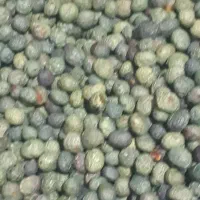 بنه‌‌کوهی