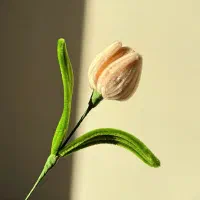 دسته گل دست ساز|صنایع دستی و سایر لوازم تزئینی|تبریز, |دیوار