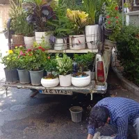 سمپاشی و باغبانی تضمینی تهران|خدمات باغبانی و درختکاری|تهران, پاسداران|دیوار