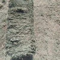 بیده 50تا رودبار نرسیده ب شهر