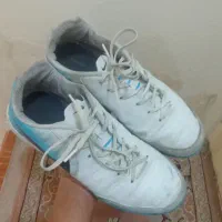 کتونی فوتسال تمپو ایکس|کیف، کفش، کمربند|قم, صدوق|دیوار