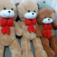 شاسخین خوشرنگ