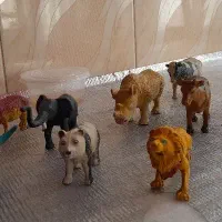 حیوانات