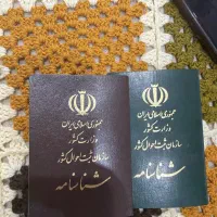 شناسنامه پیدا شده